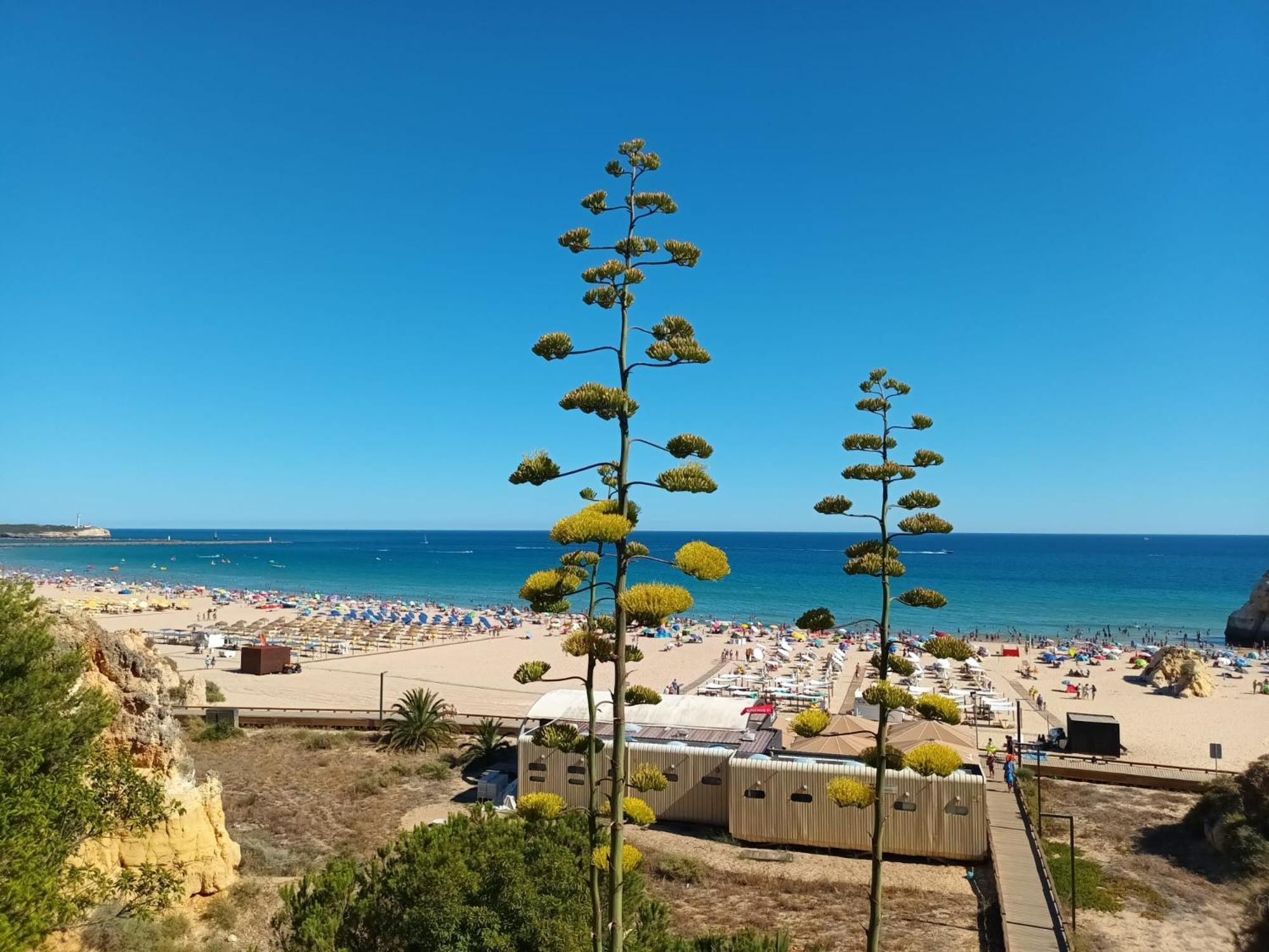 Luxury 2 Min Beach With Balcony, Ocean View, Wifi, Ac, Smarttv ポルティマン エクステリア 写真